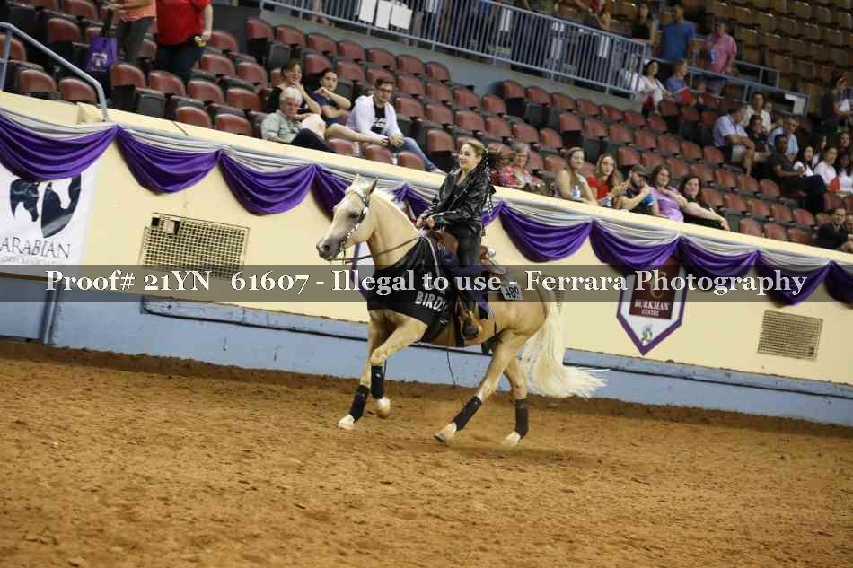 Proof Number 21YN_61607