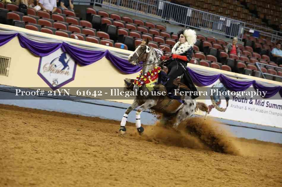 Proof Number 21YN_61642