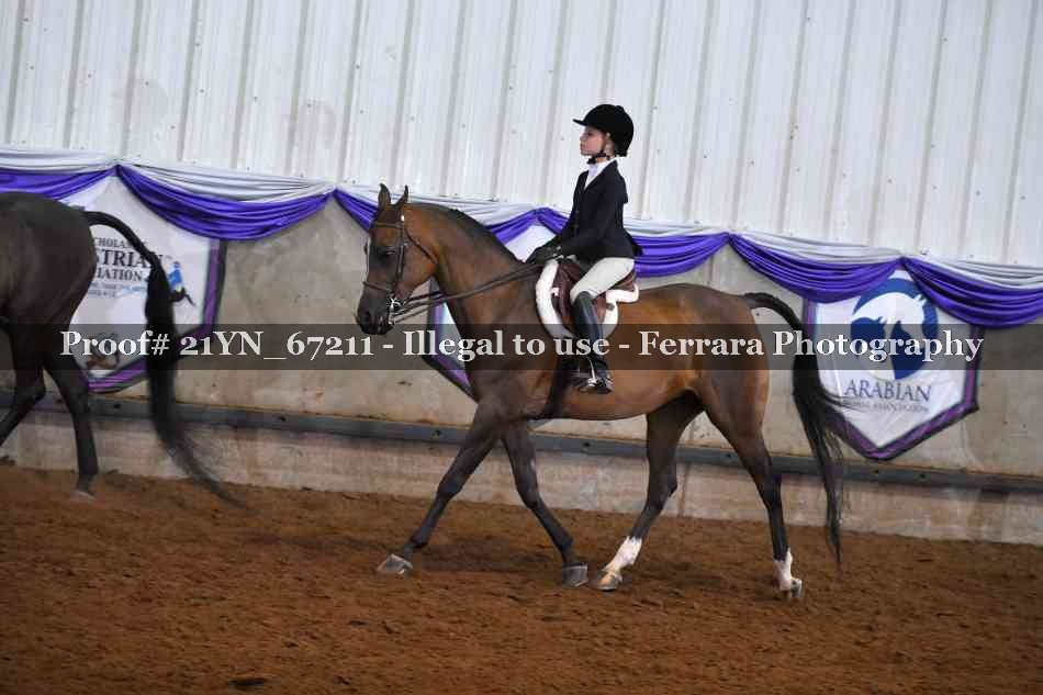 Proof Number 21YN_67211