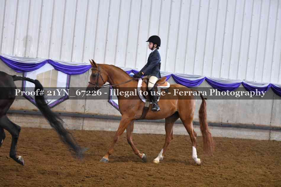 Proof Number 21YN_67226