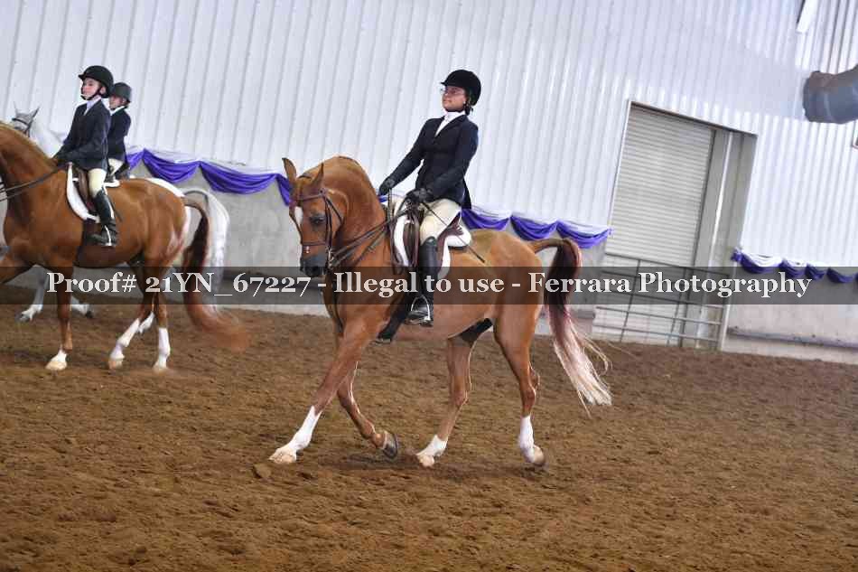 Proof Number 21YN_67227