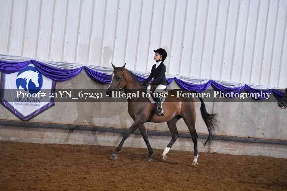 Proof Number 21YN_67231