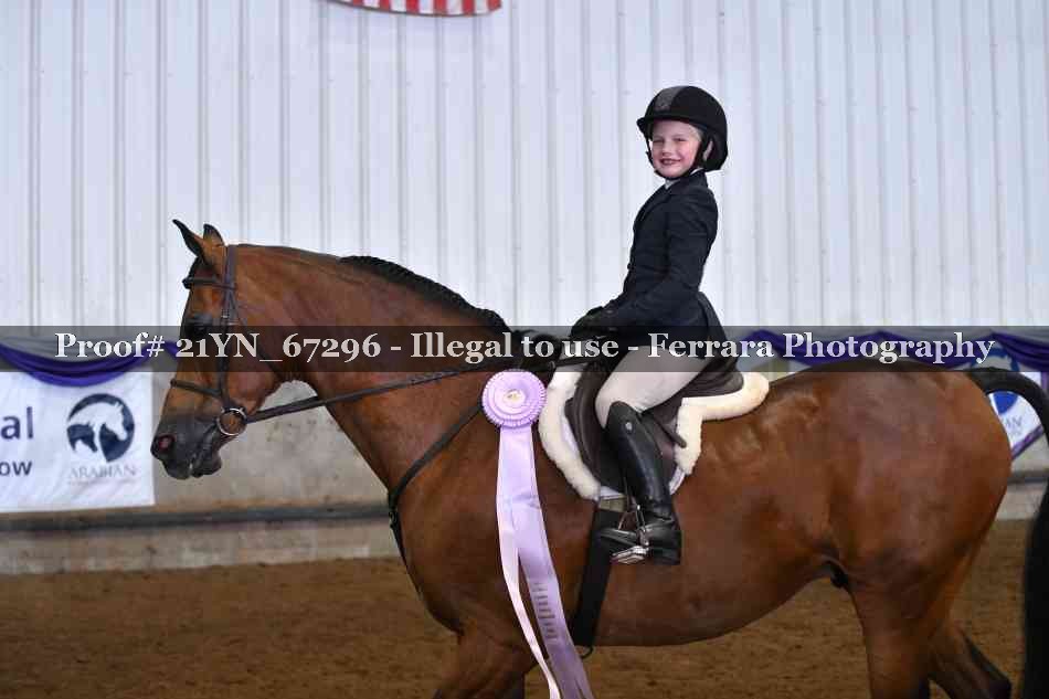 Proof Number 21YN_67296