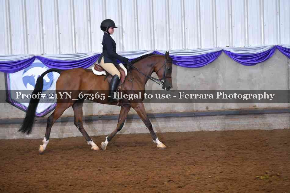 Proof Number 21YN_67365