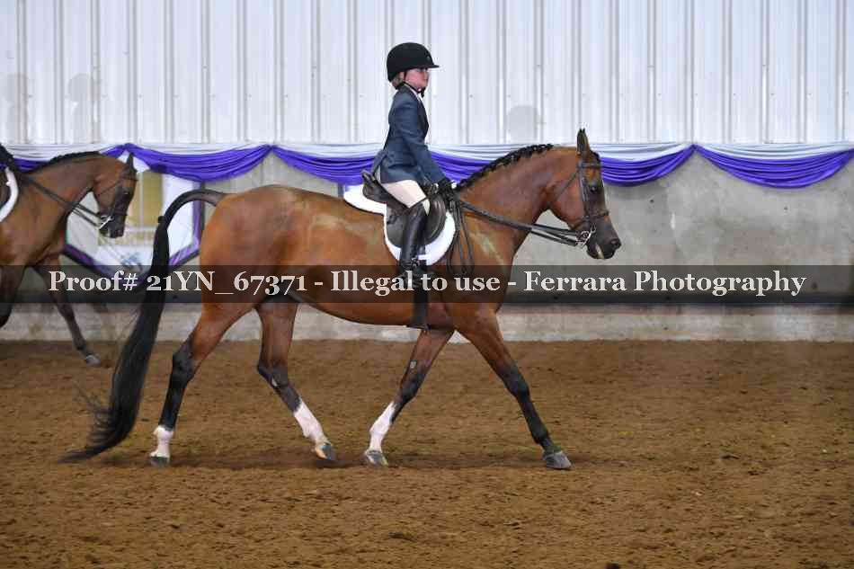 Proof Number 21YN_67371