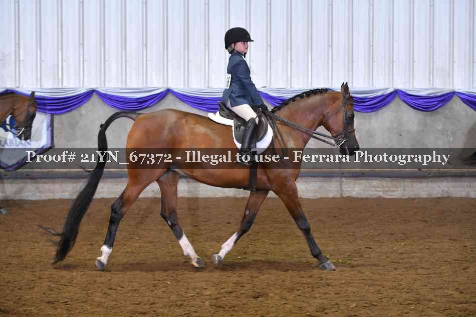Proof Number 21YN_67372