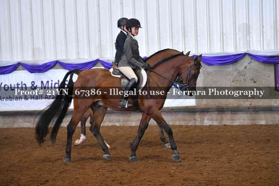 Proof Number 21YN_67386