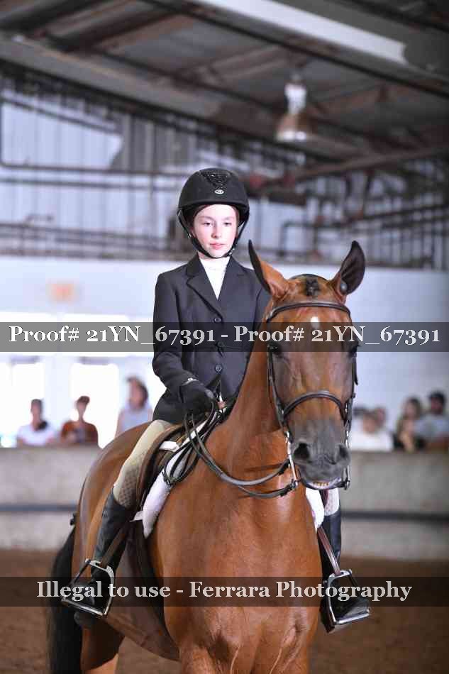 Proof Number 21YN_67391