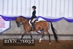 21YN_71057 thumbnail