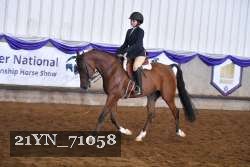 21YN_71058 thumbnail