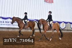 21YN_71064 thumbnail