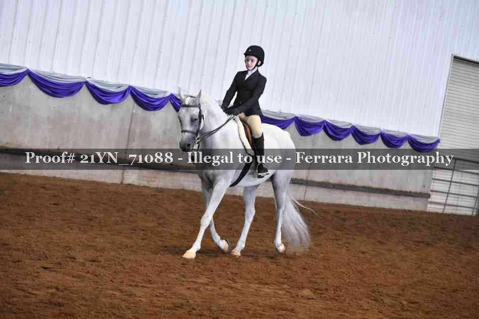 Proof Number 21YN_71088