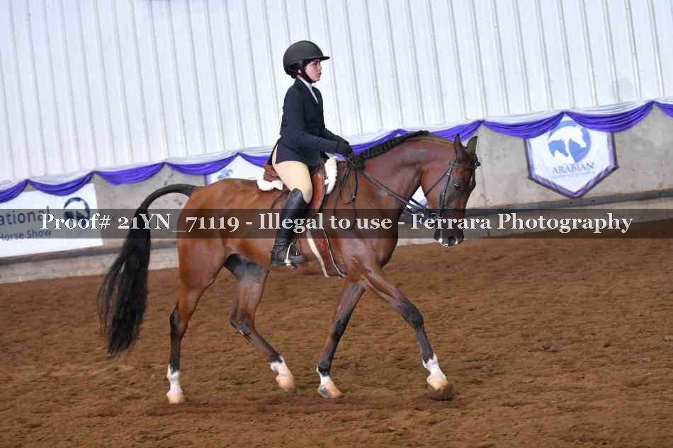 Proof Number 21YN_71119