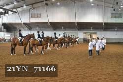 21YN_71166 thumbnail