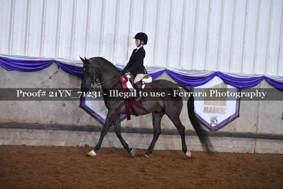 Proof Number 21YN_71231
