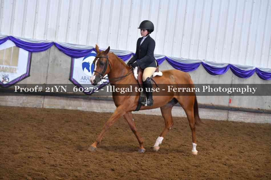 Proof Number 21YN_60272