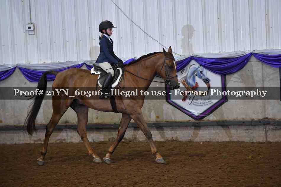 Proof Number 21YN_60306