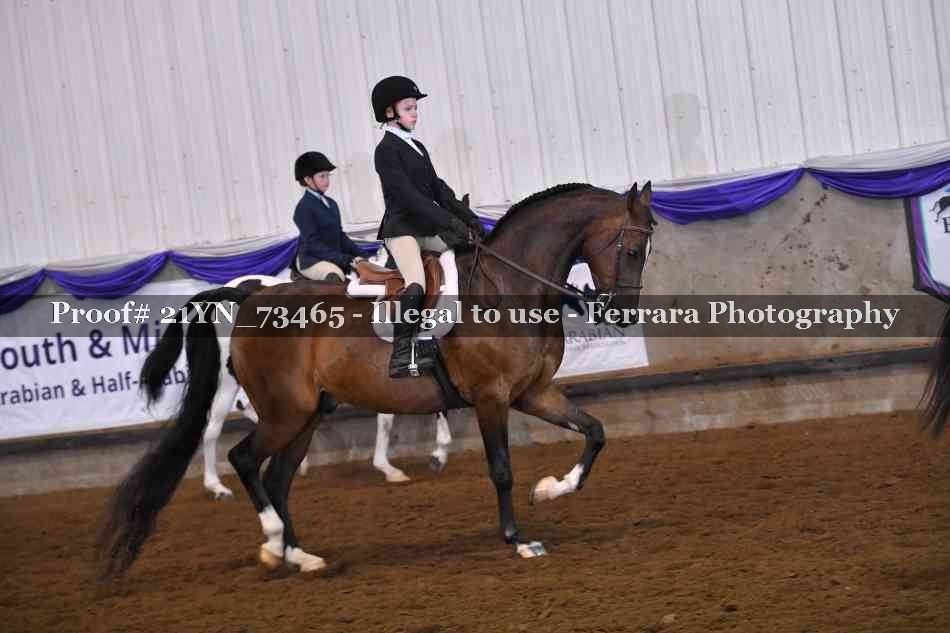 Proof Number 21YN_73465