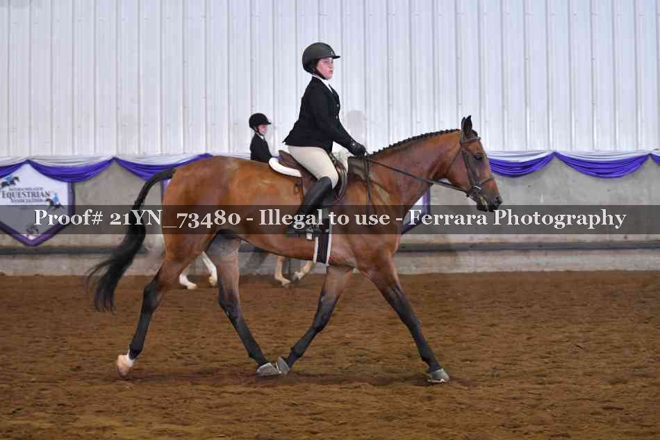 Proof Number 21YN_73480