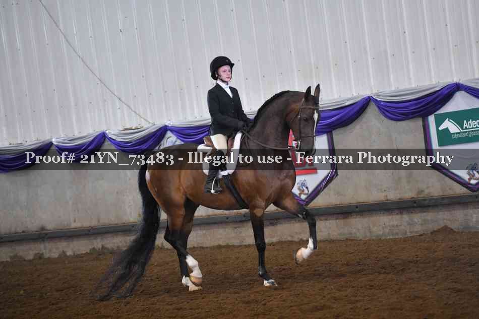 Proof Number 21YN_73483