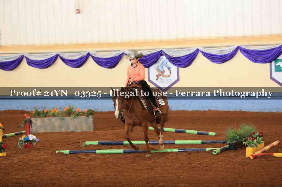 Proof Number 21YN_03325