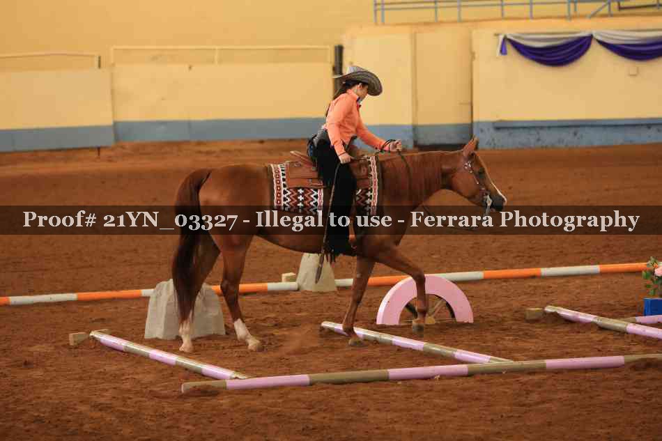 Proof Number 21YN_03327