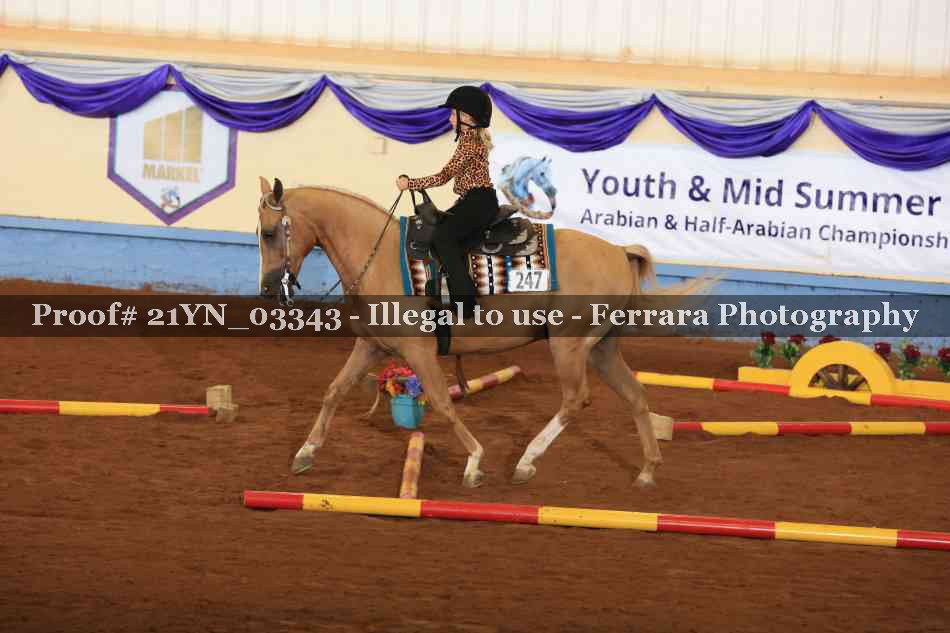 Proof Number 21YN_03343