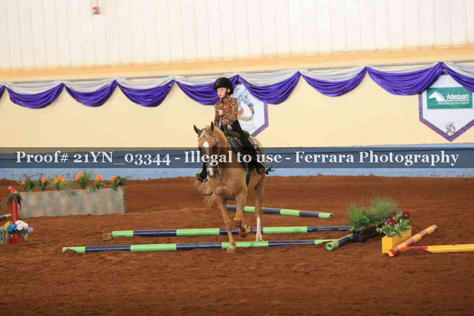 Proof Number 21YN_03344