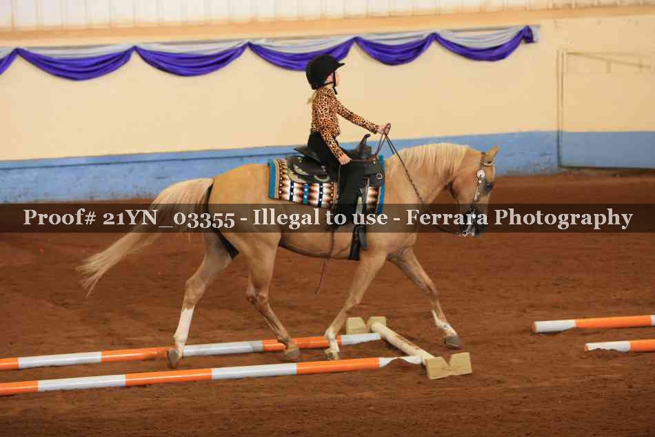 Proof Number 21YN_03355