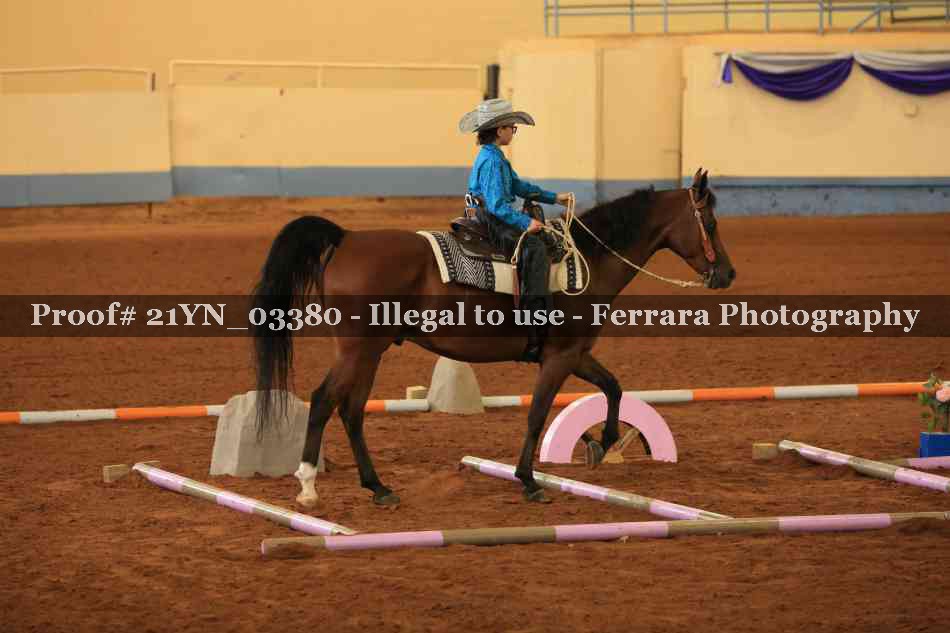 Proof Number 21YN_03380