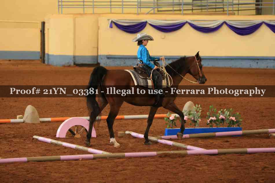 Proof Number 21YN_03381