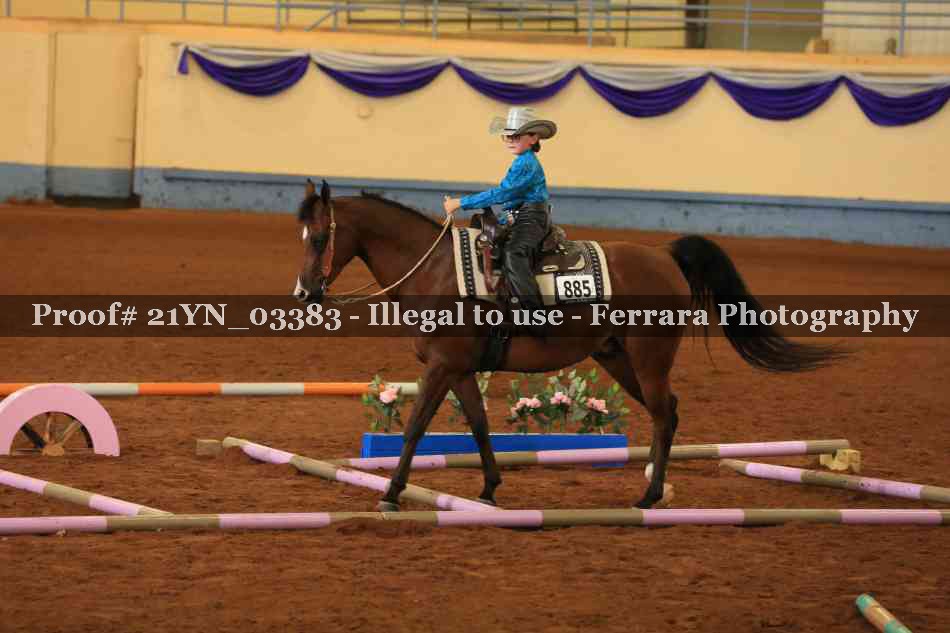 Proof Number 21YN_03383