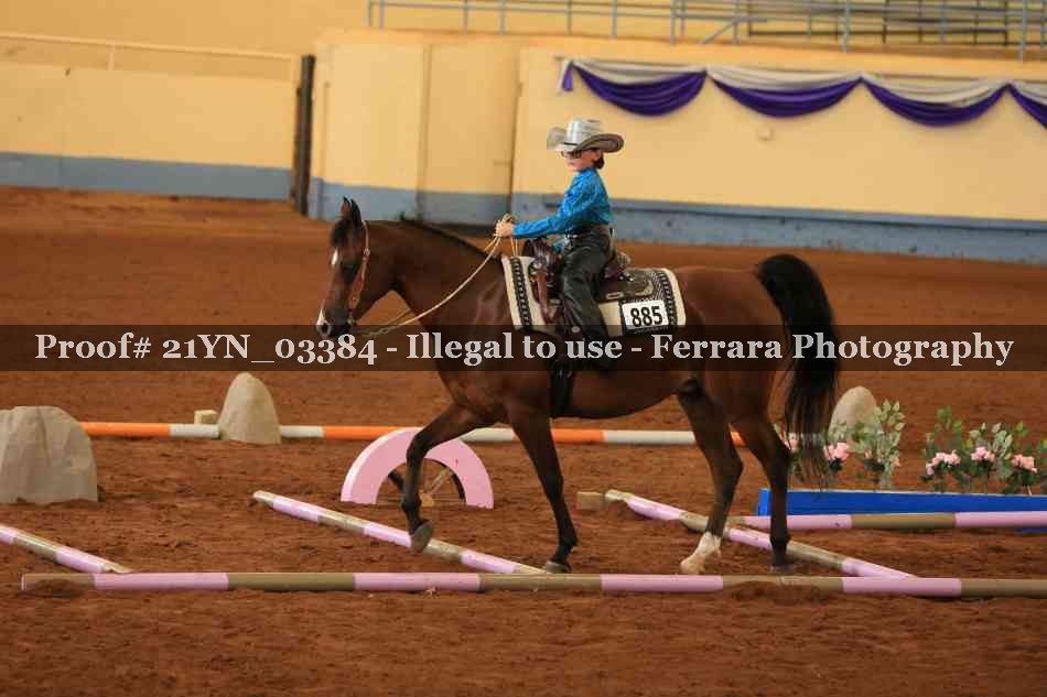 Proof Number 21YN_03384