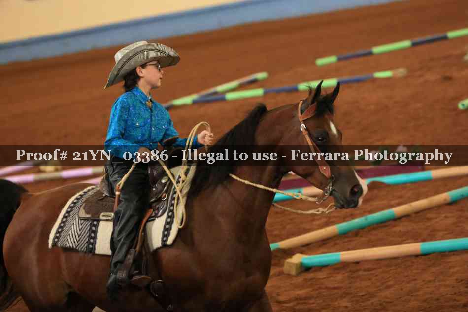 Proof Number 21YN_03386