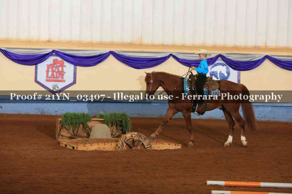 Proof Number 21YN_03407