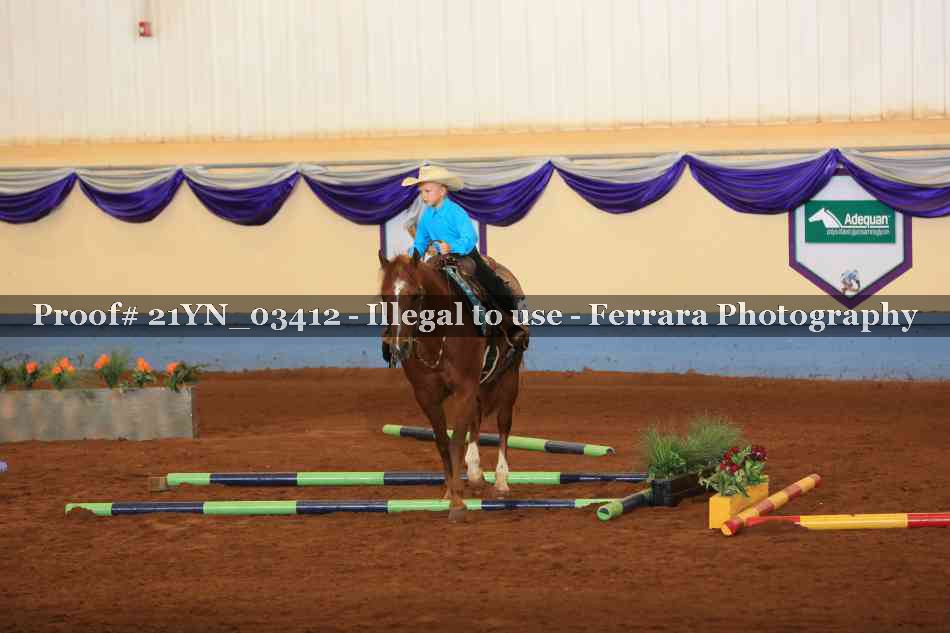 Proof Number 21YN_03412