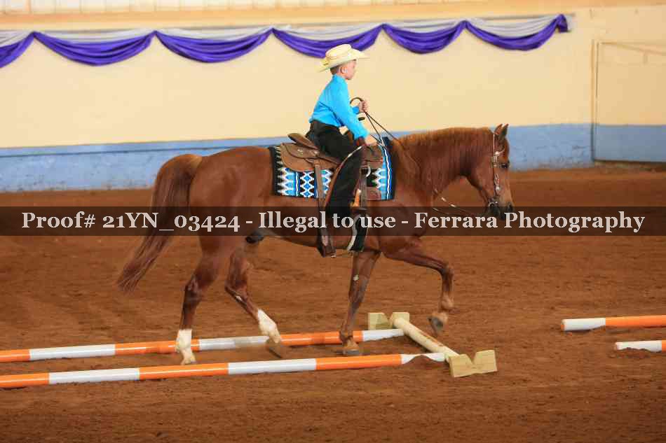 Proof Number 21YN_03424