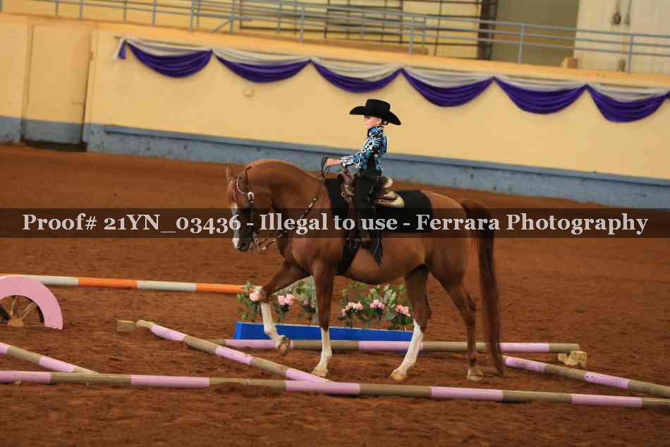 Proof Number 21YN_03436