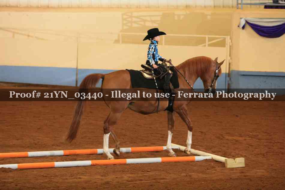 Proof Number 21YN_03440