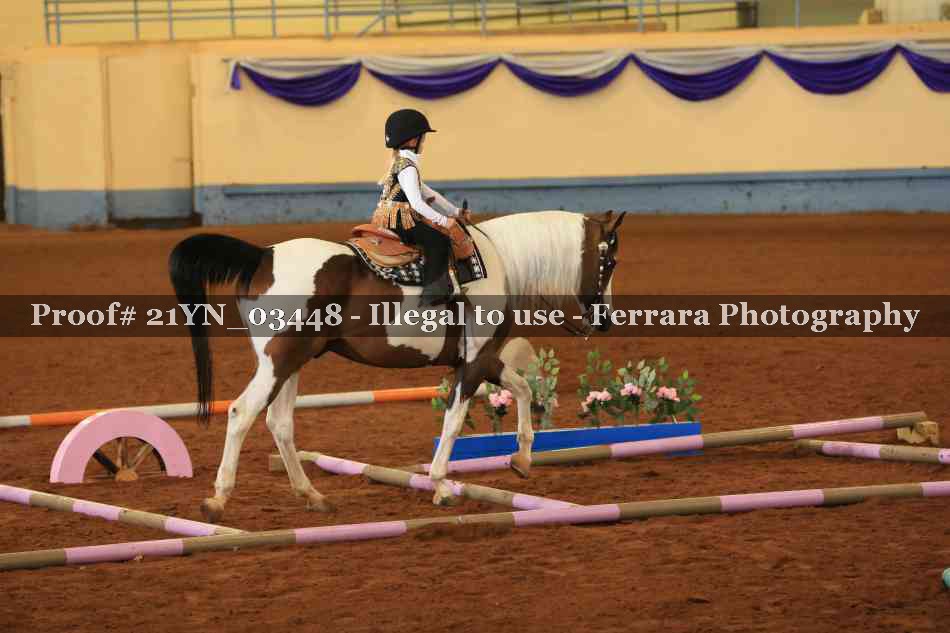 Proof Number 21YN_03448