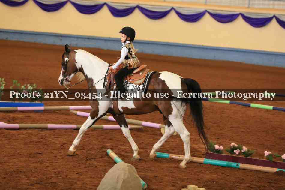 Proof Number 21YN_03454