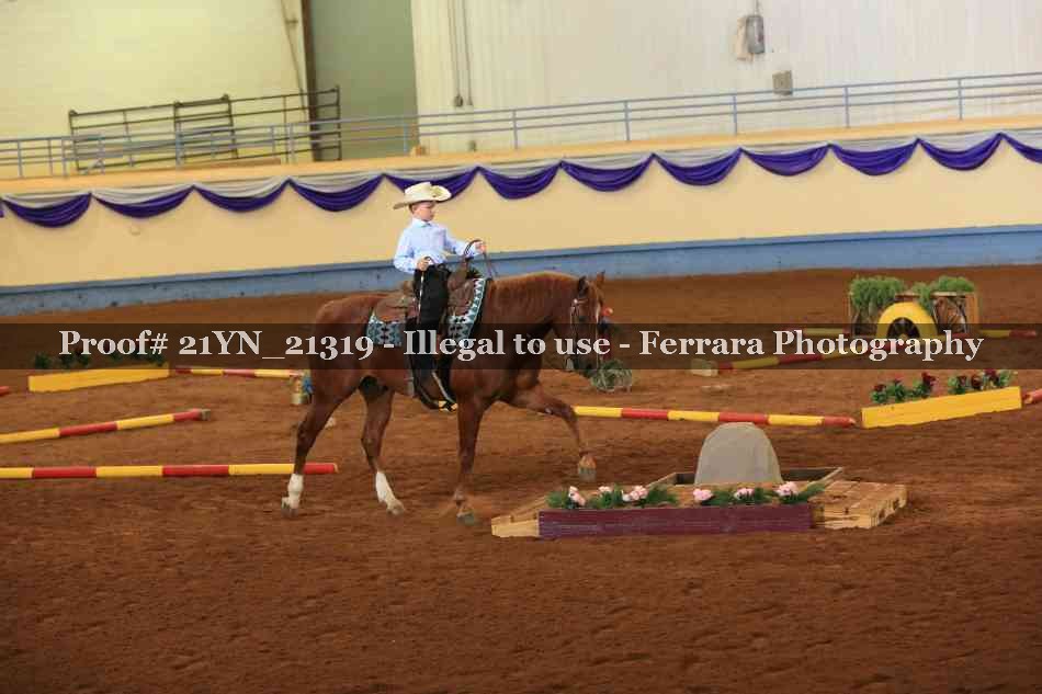 Proof Number 21YN_21319