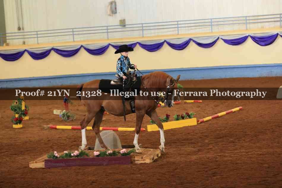 Proof Number 21YN_21328