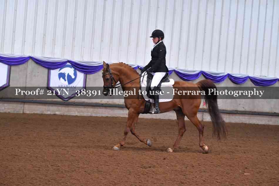 Proof Number 21YN_38391