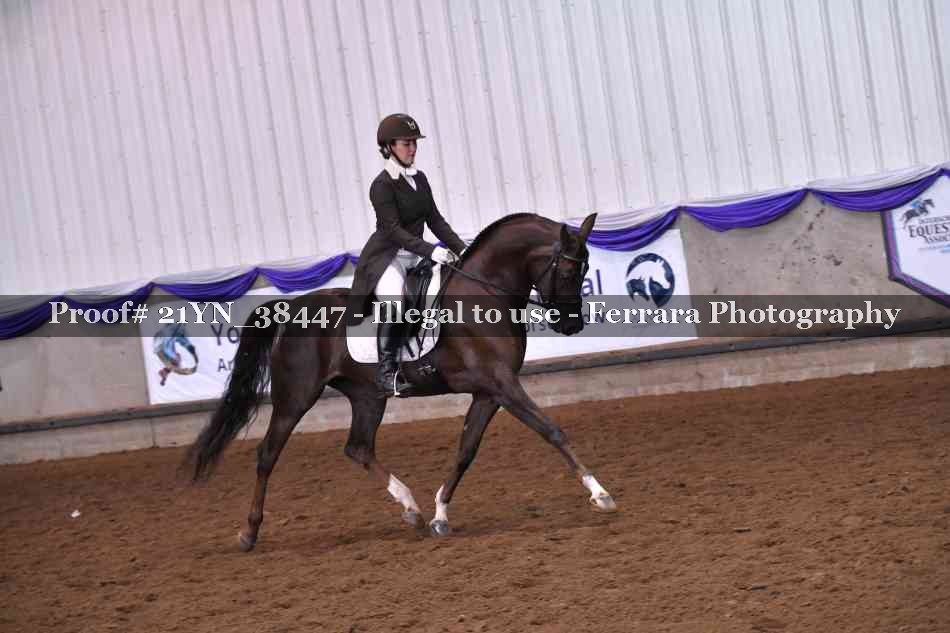 Proof Number 21YN_38447