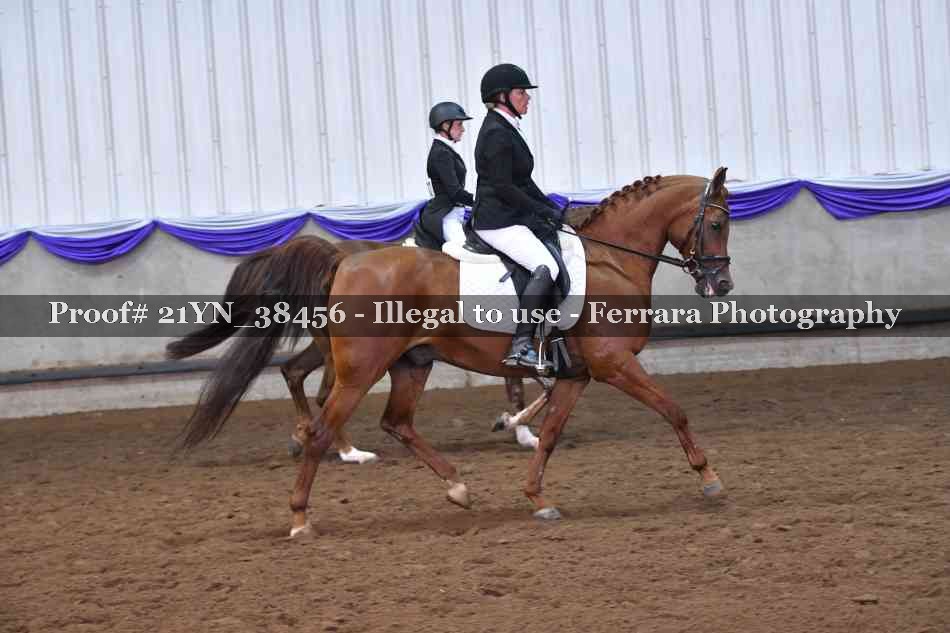 Proof Number 21YN_38456