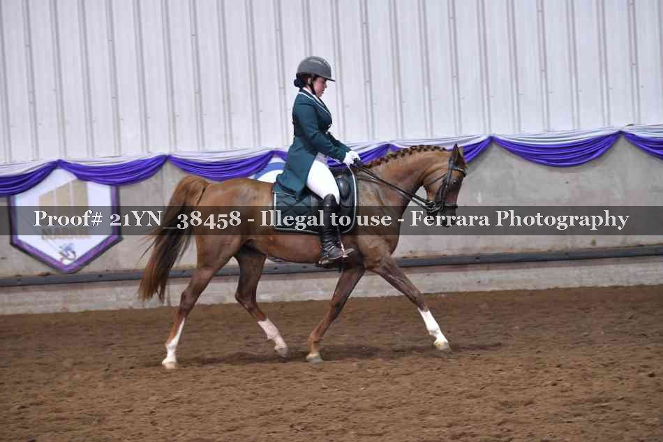 Proof Number 21YN_38458