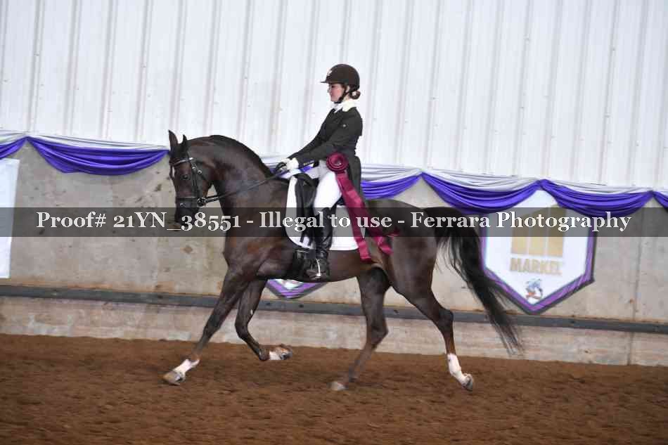 Proof Number 21YN_38551