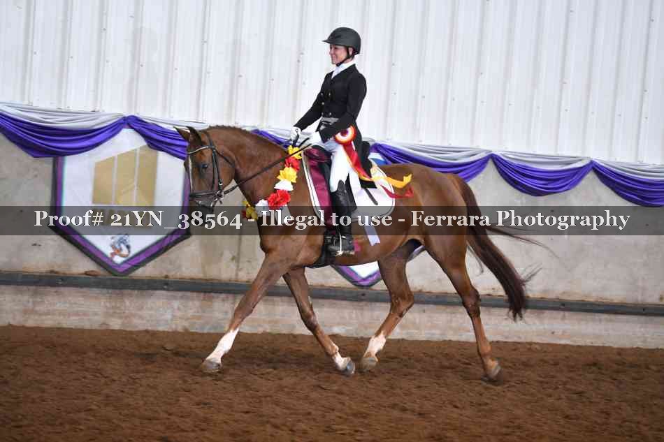 Proof Number 21YN_38564