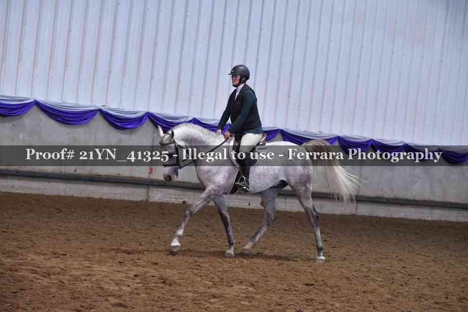 Proof Number 21YN_41325